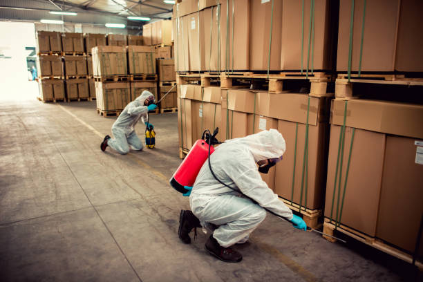 Best Termite Control Services  in Lisbon, IA