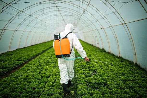 Best Affordable Pest Control Services  in Lisbon, IA