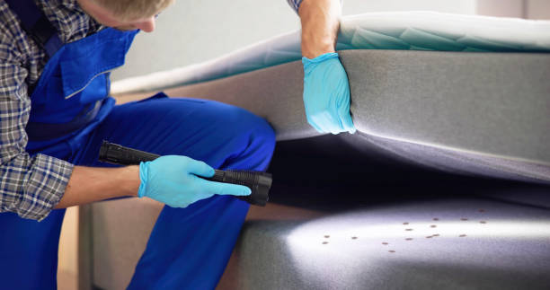 Trusted Lisbon, IA Pest Control Experts