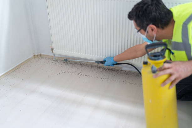 Best Ant Control Services  in Lisbon, IA