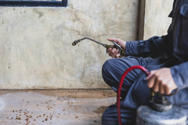 Best Pest Removal Services  in Lisbon, IA